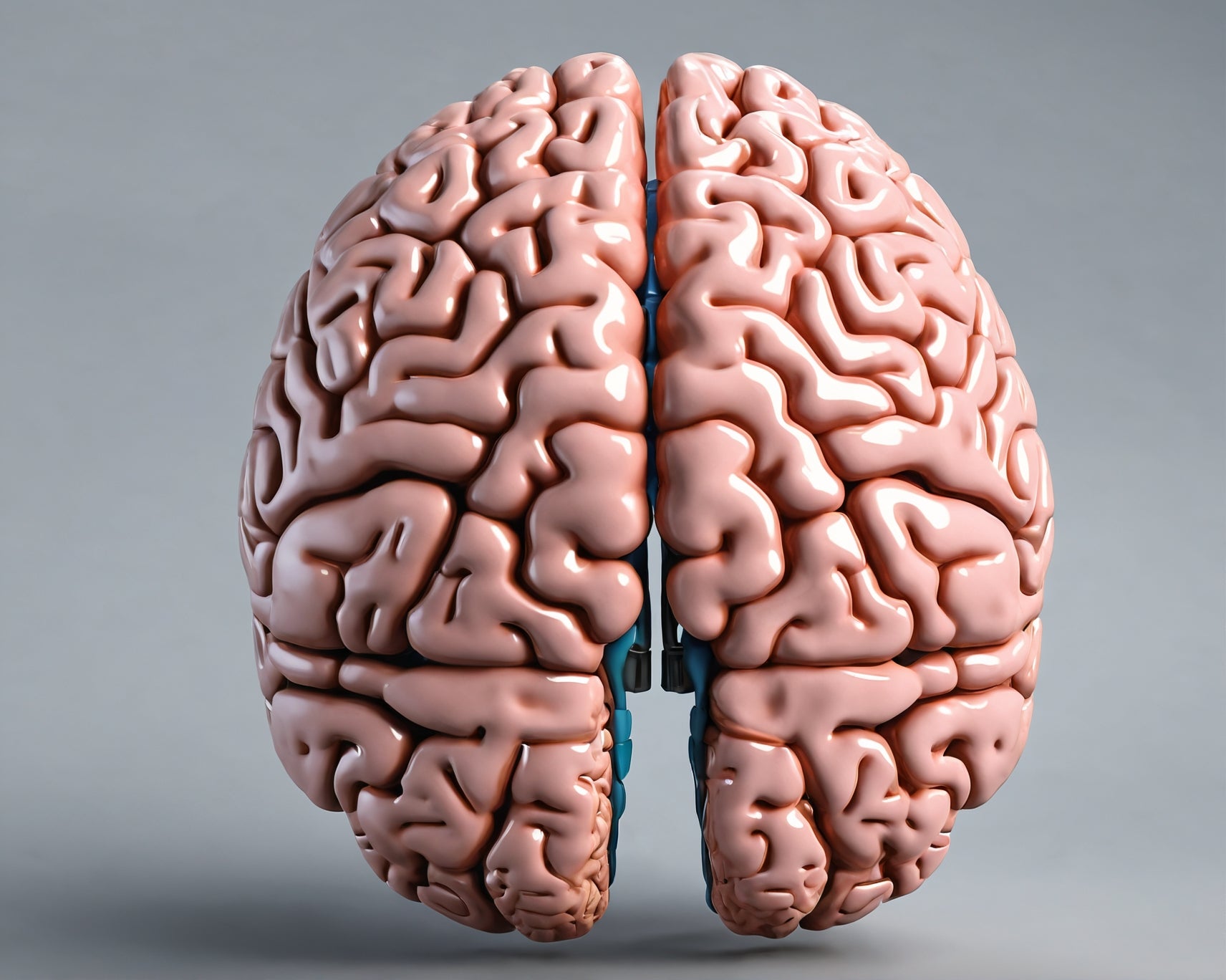 A picture of a brain