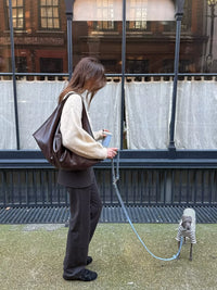 Person with a large brown bag and a small dog on a leash in an urban setting.