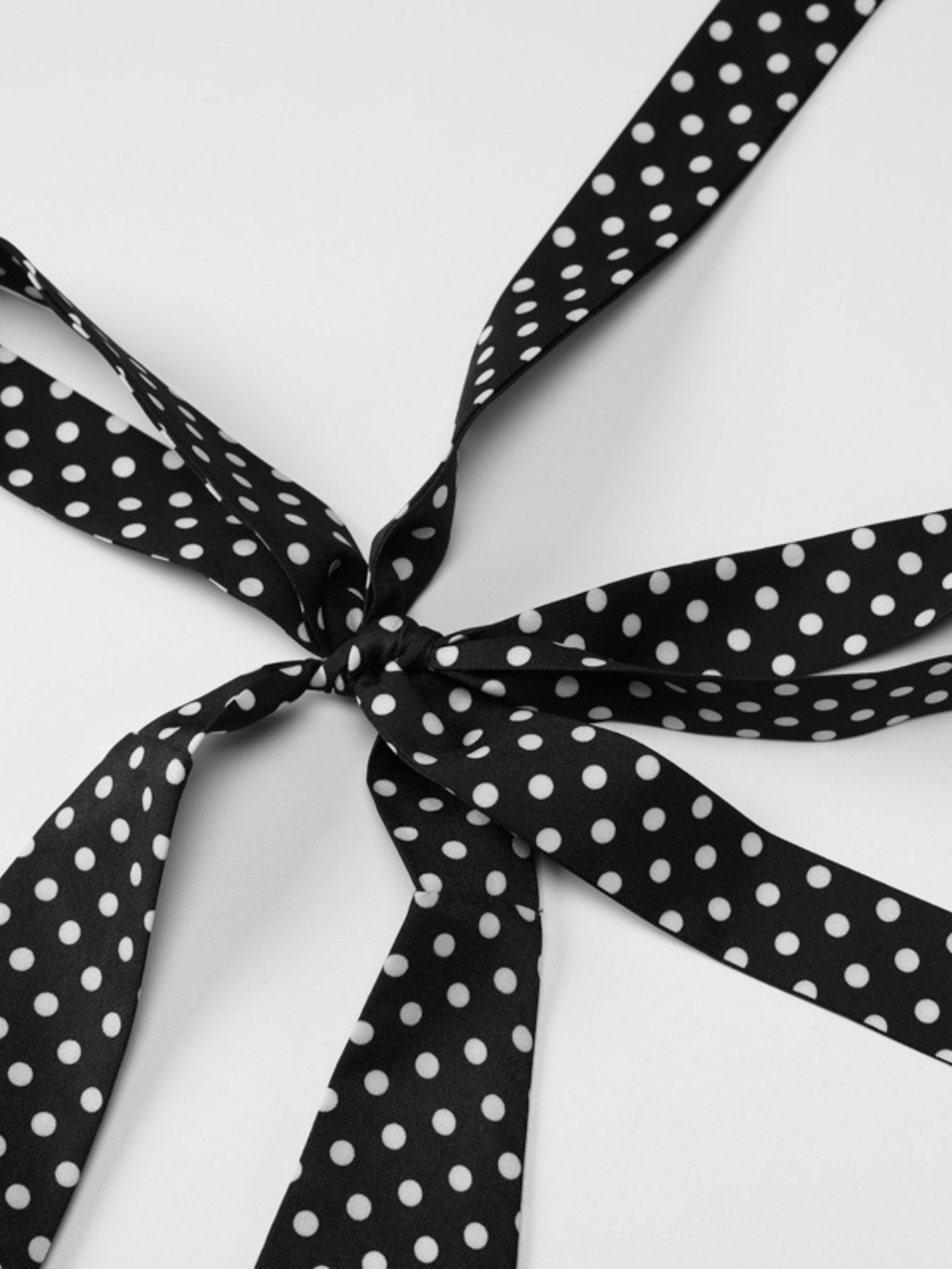 Black polka dot ribbon tied in a bow on a white background