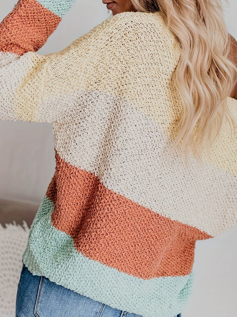 Back view of Color Block Round Neck Long Sleeve Sweater