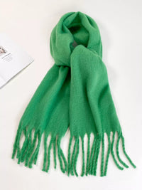 Green scarf with tassels on a white background