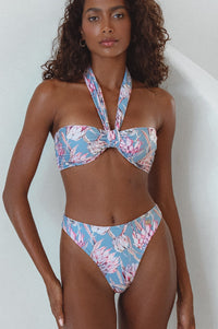 Front view of Palmeria Bottom Protea