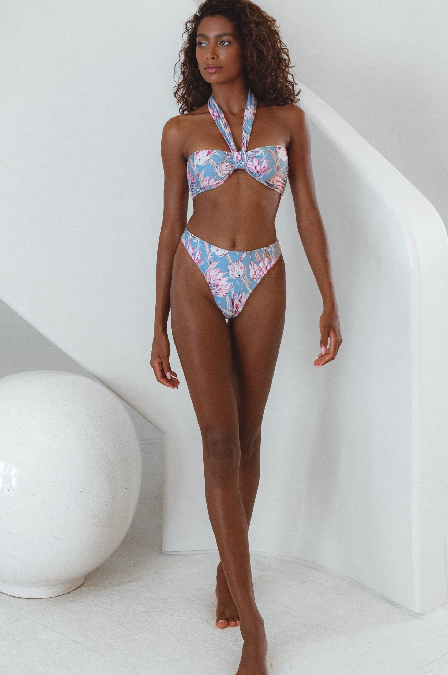 A full view of Palmeria Bottom Protea