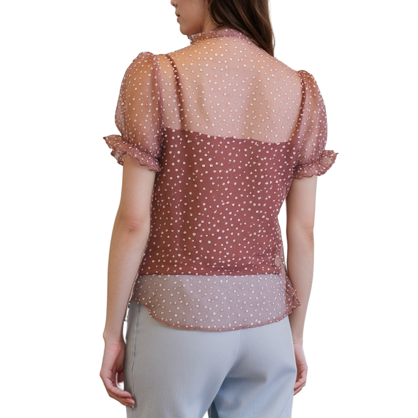 Pleione Sheer Ruffle Front Sleeve Blouse