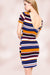 Multi Stripe V Neck Short Sleeve Dress